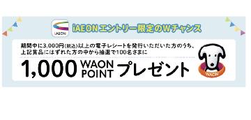 Wチャンス1000WAON POINT