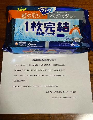 ウェーブ1枚完結フロア用 起毛ウェットシート12枚