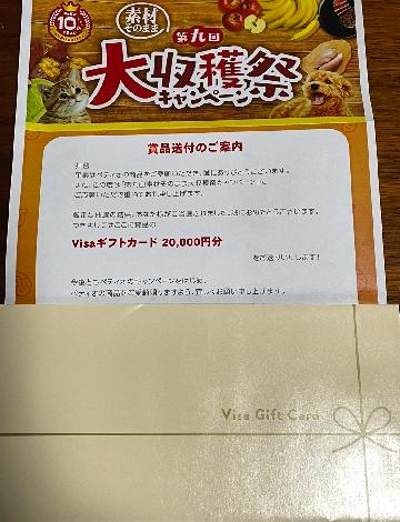 Visaギフトカード 20,000円分 