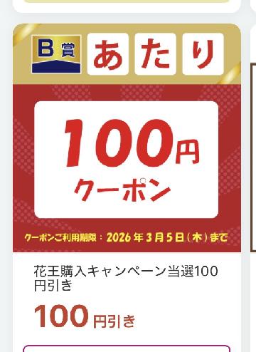 B賞　花王購入キャンペーン選100 円引き