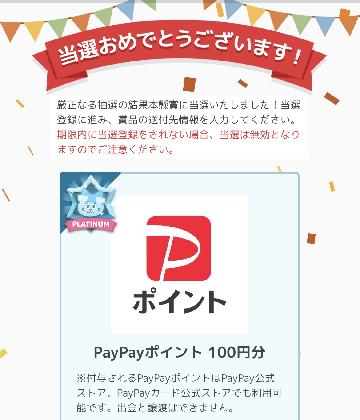 PayPayポイント 100円分
